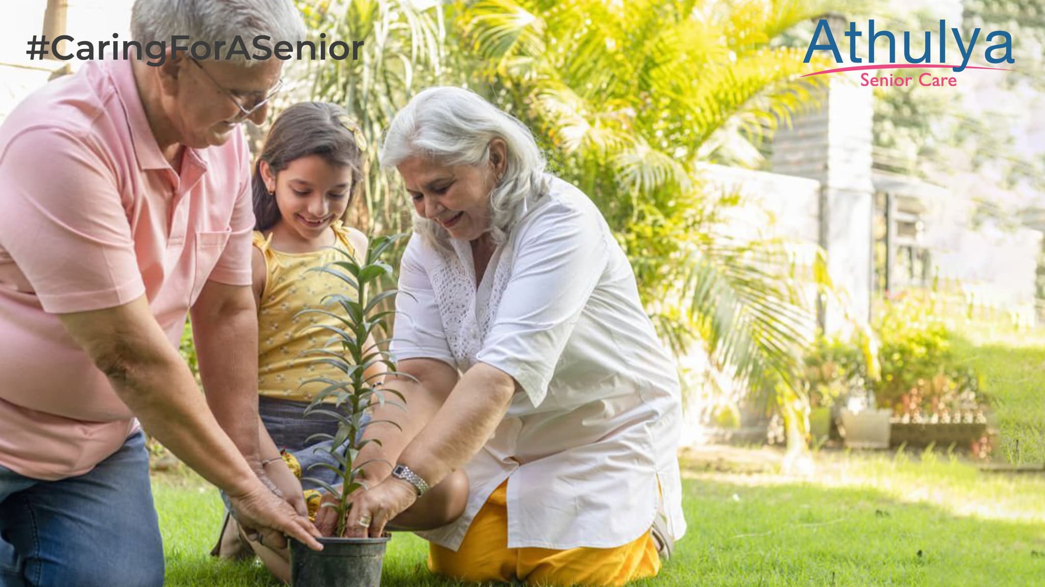 Gardening as a Therapeutic Activity for Older Adults