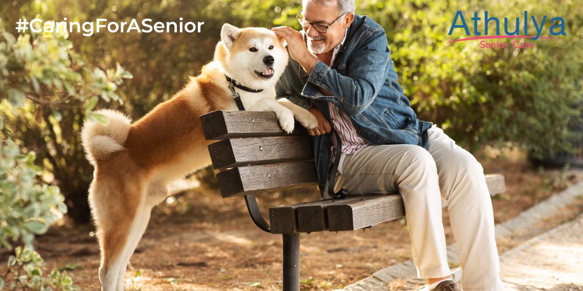 The Role of Pets in Seniors’ Emotional Well-Being