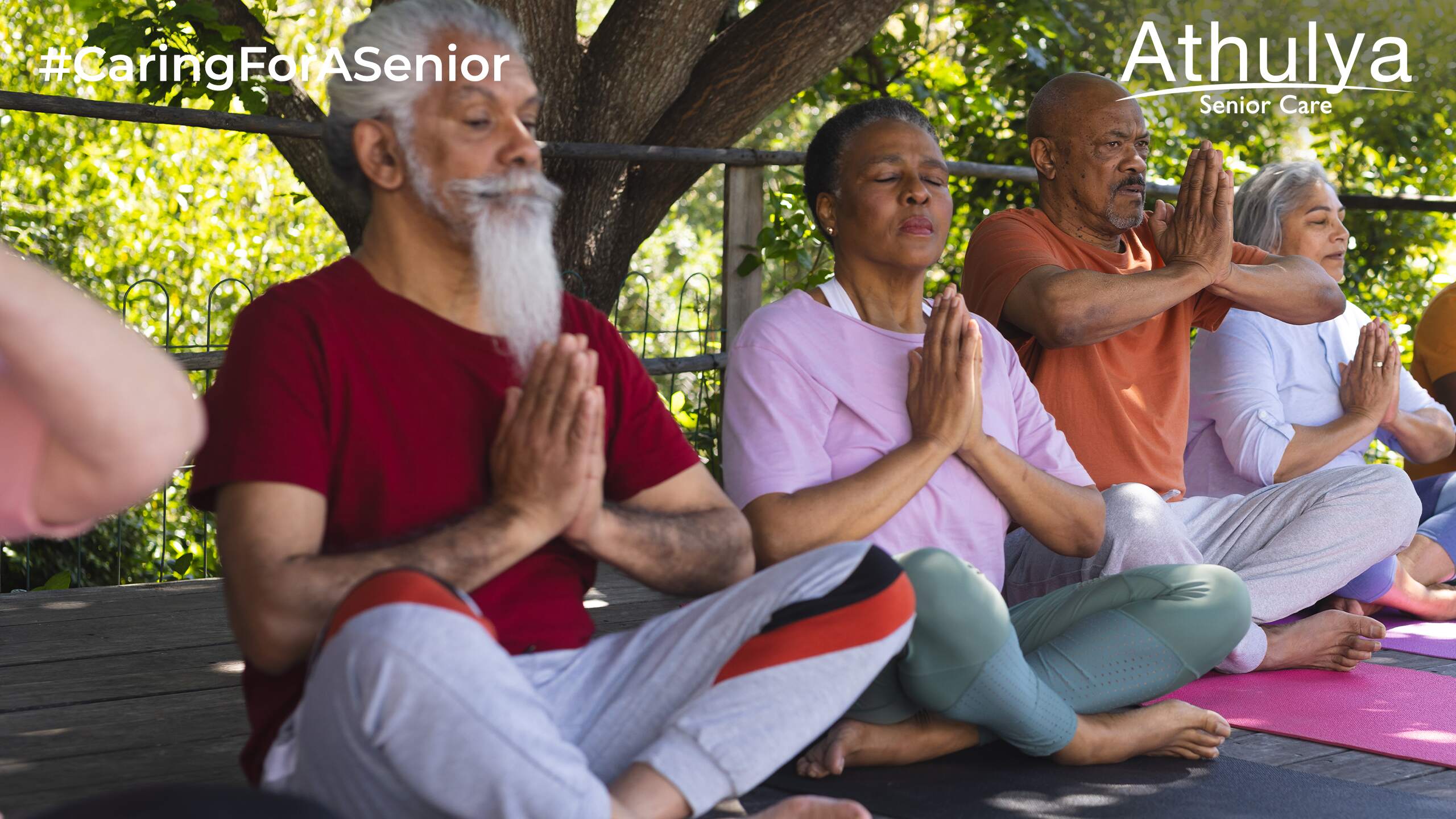 Holistic Wellness Programs: A New Standard in Senior Care